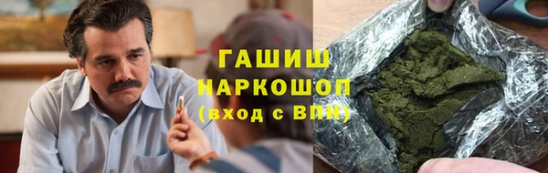 прущие грибы Абаза