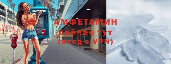 прущие грибы Абаза