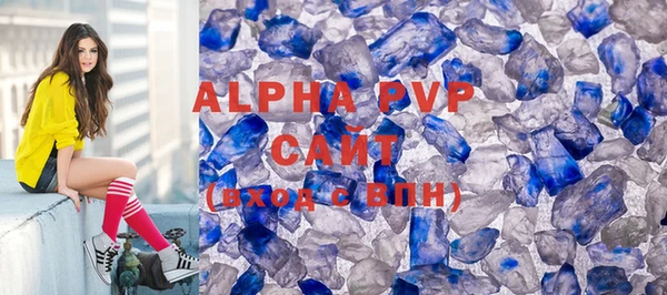 прущие грибы Абаза