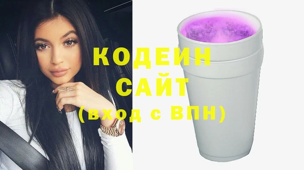 индика Абинск