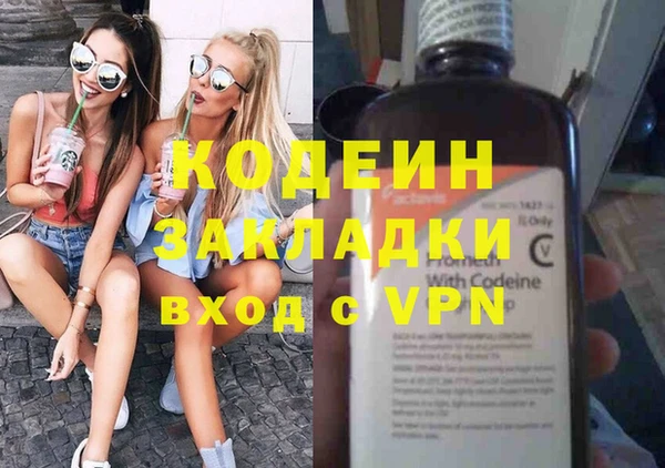 индика Абинск