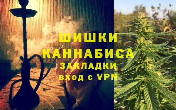 индика Абинск