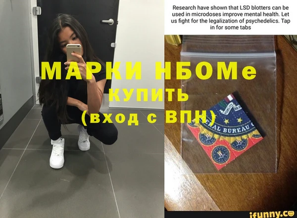 прущие грибы Абаза