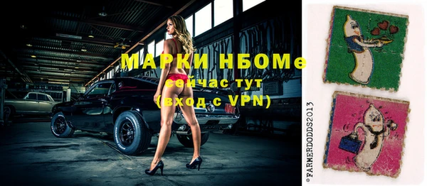 индика Абинск