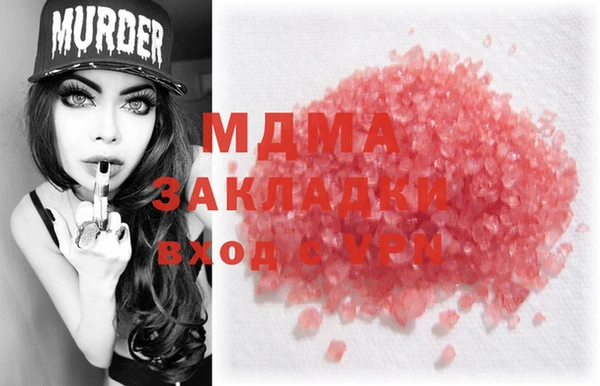 прущие грибы Абаза
