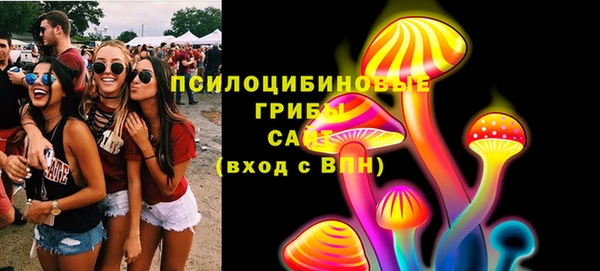 прущие грибы Абаза