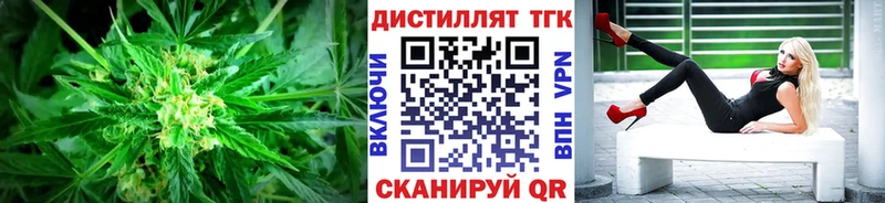 где продают наркотики  Кашира  mega ONION  Дистиллят ТГК жижа 