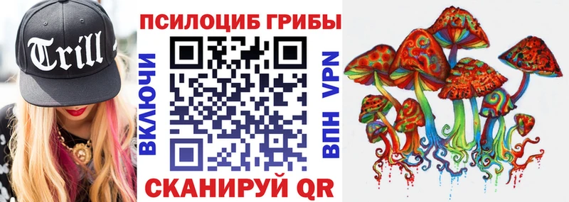 Галлюциногенные грибы Psilocybe  Кашира 