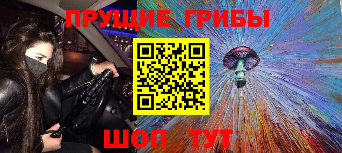 Кашира  Псилоцибиновые грибы Psilocybine cubensis  Вход с VPN 