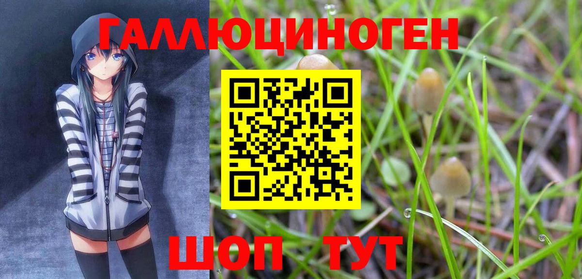 Галлюциногенные грибы мицелий Кашира