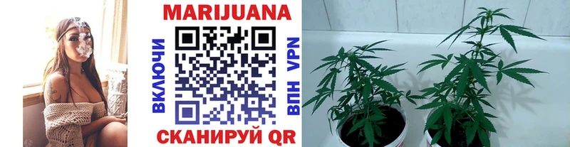 Бошки Шишки ГИДРОПОН  сайты даркнета официальный сайт  Кашира  где купить  